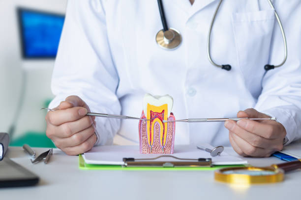 Best Urgent Dental Care for Toothache in Marthasville, MO